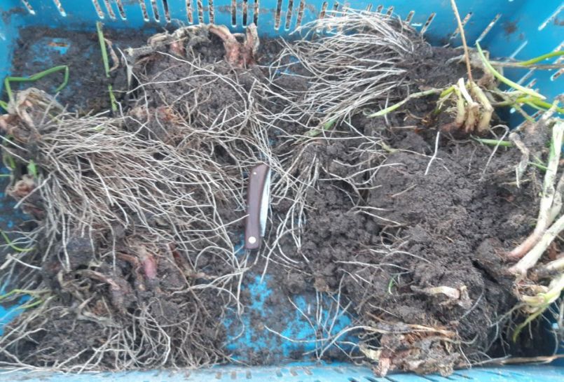 20230117_163659 (2).jpg