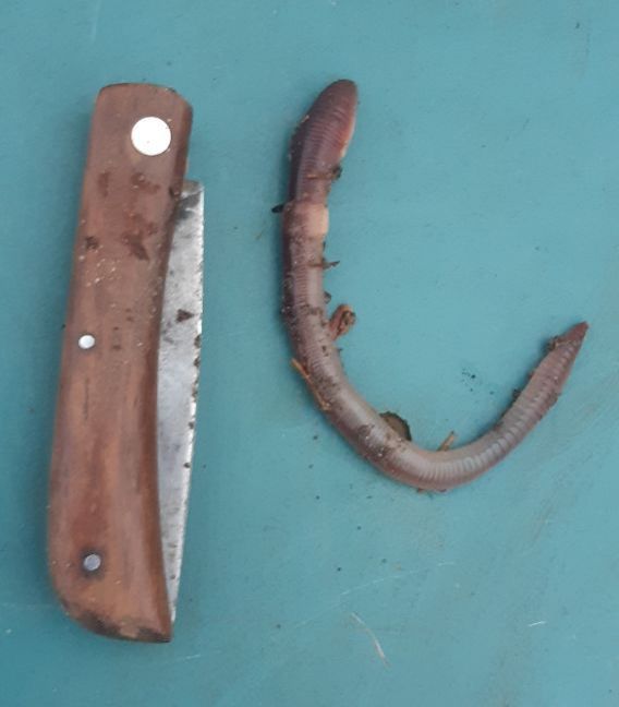 20230124_164838 (2).jpg