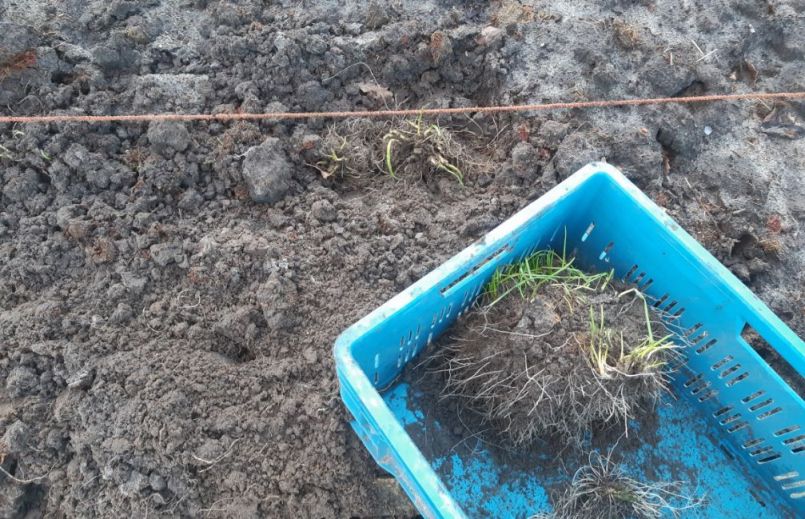 20230117_161024 (2).jpg