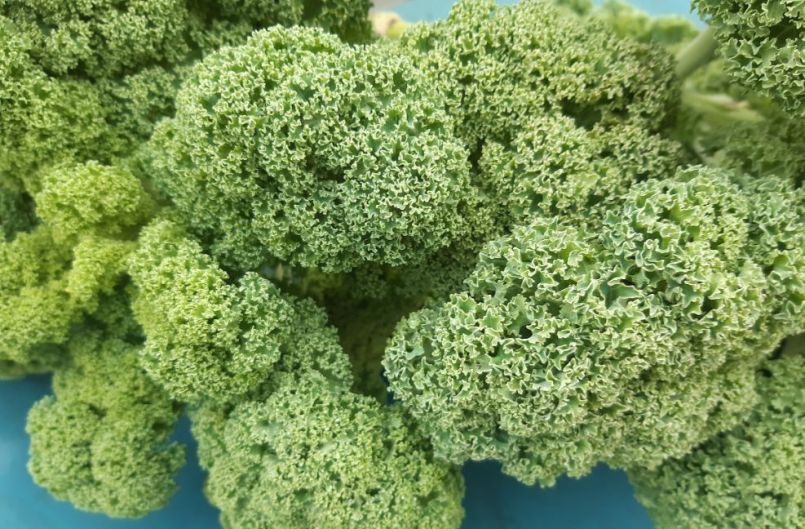 20230115_153108 (2).jpg