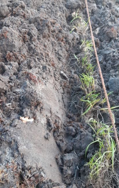 20230117_161409 (2).jpg