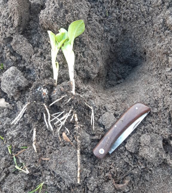 20230224_160619 (2).jpg