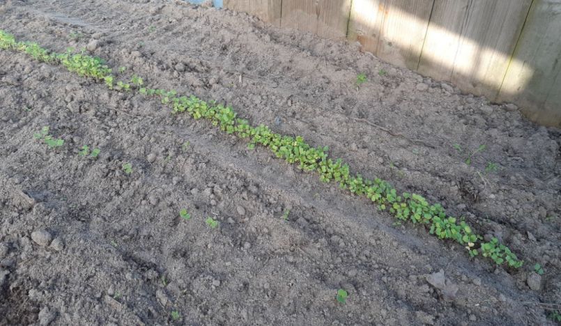 20230224_163755 (2).jpg