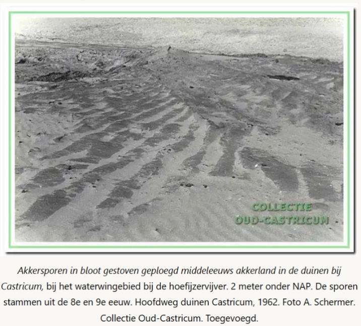 Vroeg Middeleeuwse ploegsporen.png