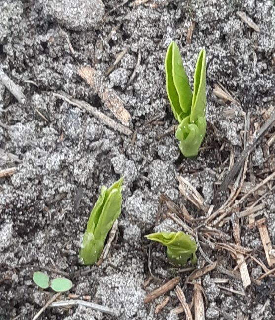 20230221_134925 (2).jpg