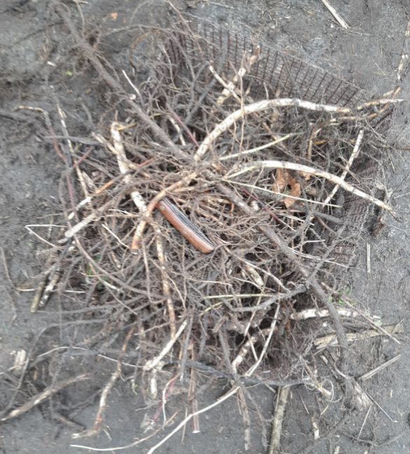 20230219_153003 (2).jpg