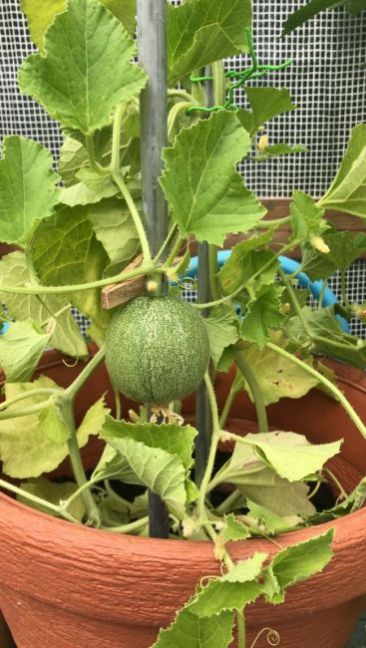 E149C7E7-551C-4E3E-A742-6B5D8A339169 (1).JPG