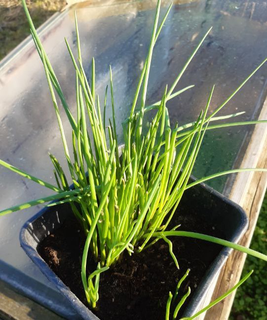 20230224_164432 (2).jpg