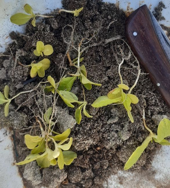 20230305_140438 (2).jpg