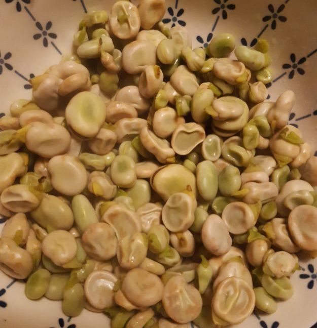 20230228_184841 (2).jpg