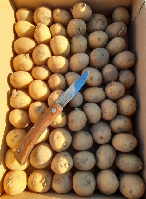 20230228_163327 (2).jpg