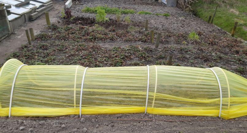 20230304_150754 (2).jpg