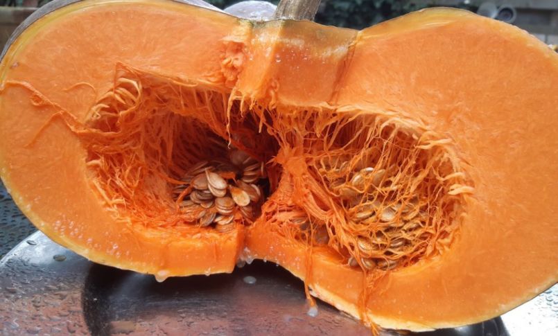 20230305_164408 (2).jpg