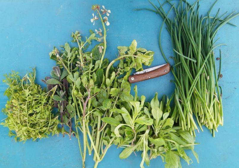 20230305_151612 (2).jpg