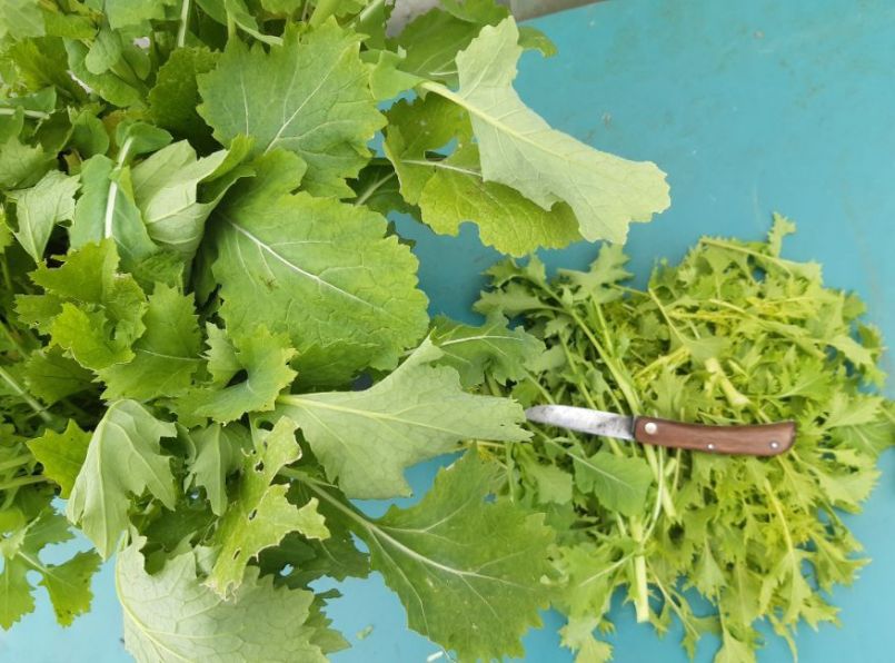 20230306_142625 (2).jpg