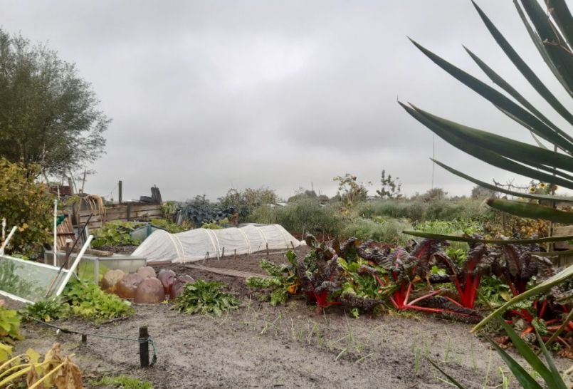 20221014_140313 (2).jpg