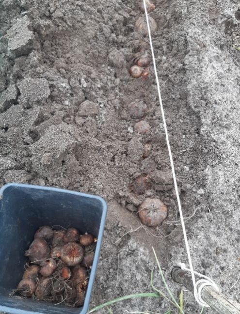 20230316_141224 (2).jpg