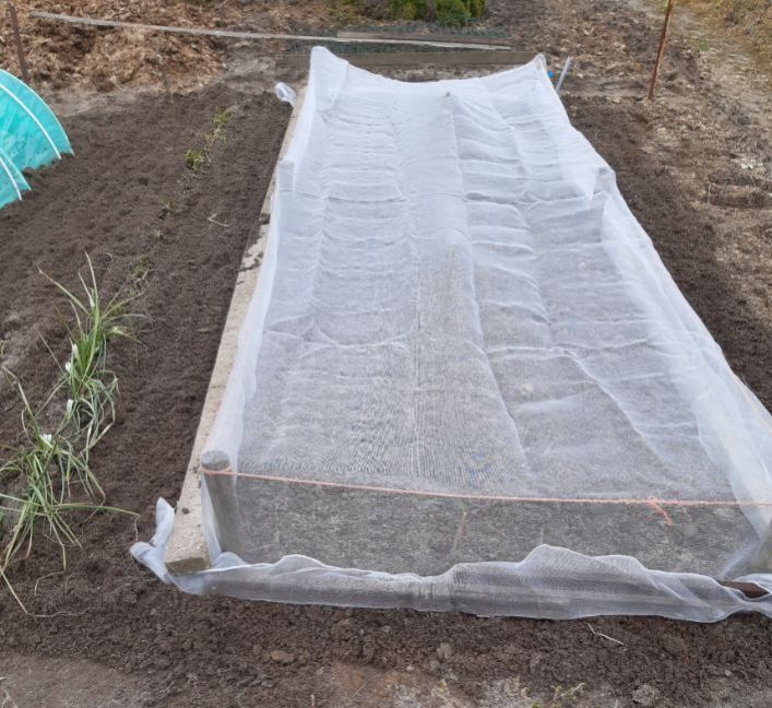 20230316_150813 (2).jpg