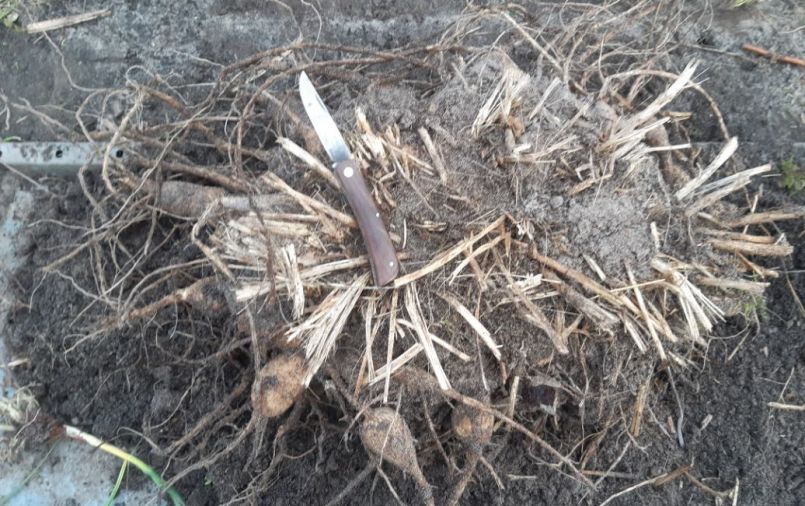 20230316_175918 (2).jpg