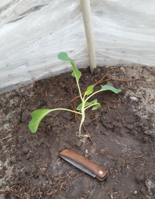 20230318_135511 (2).jpg