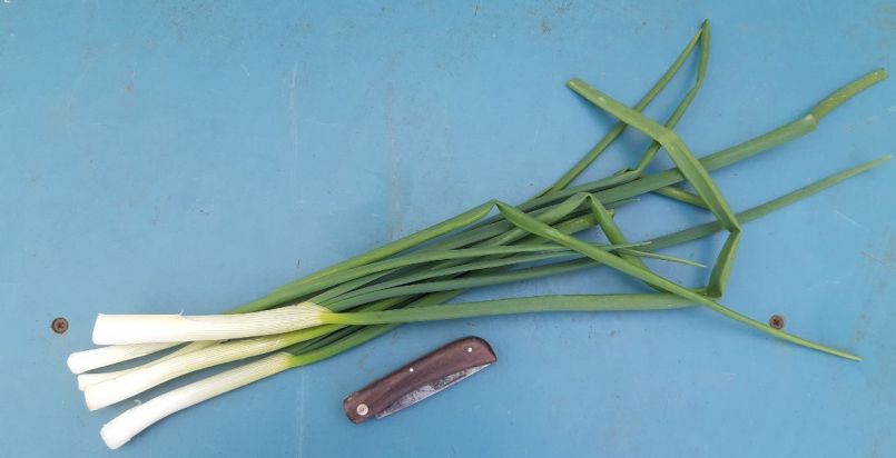 20230318_142957 (2).jpg