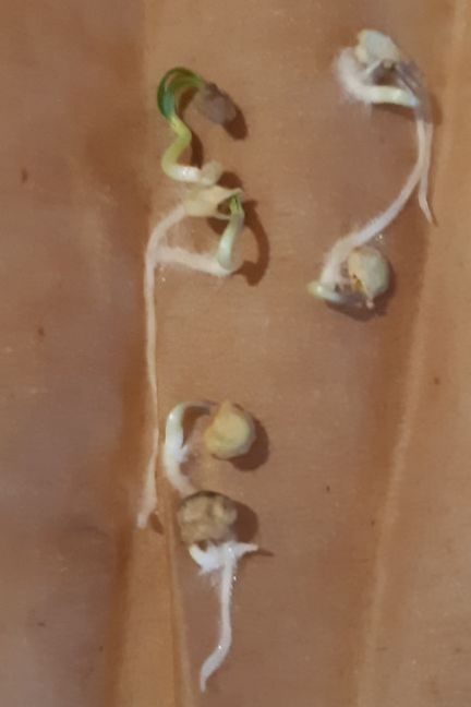 20230318_175017 (2).jpg