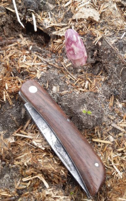 20230319_132034 (2).jpg