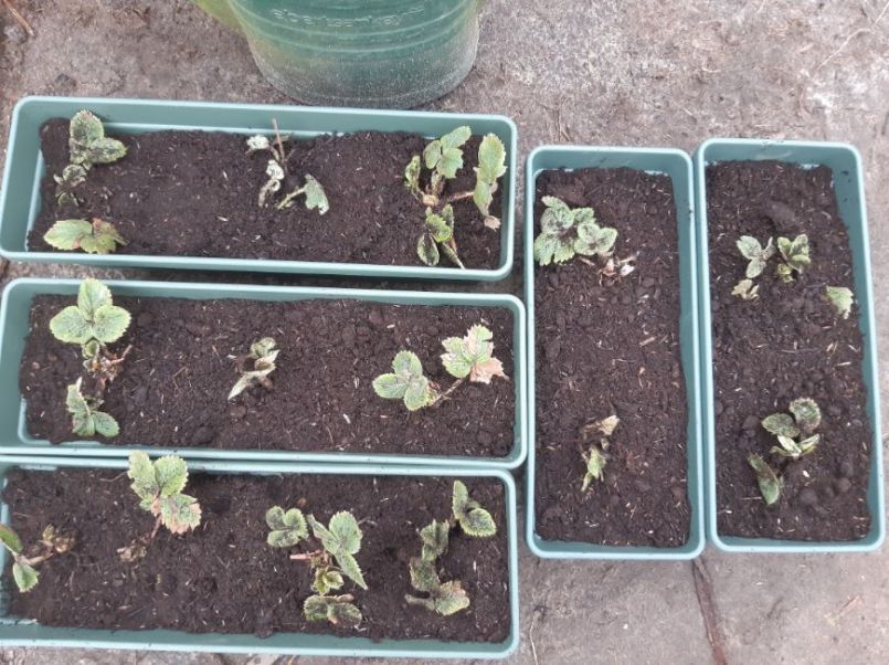 20230319_174508 (2).jpg