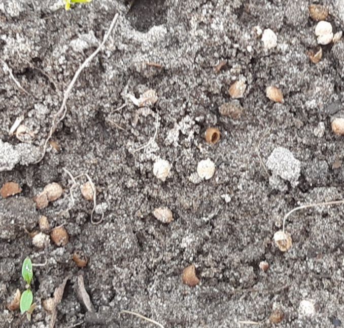 20230321_135812 (2).jpg