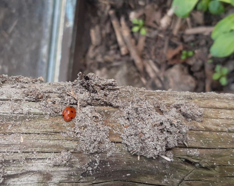 20230305_151736 (2).jpg