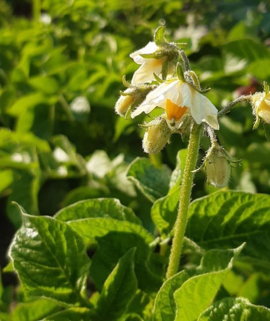 20220603_193134 (2).jpg