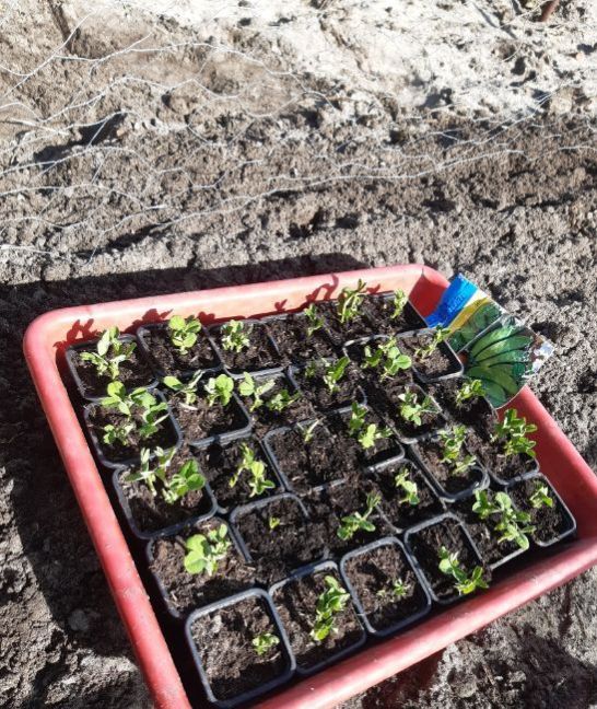 20230327_160425 (2).jpg