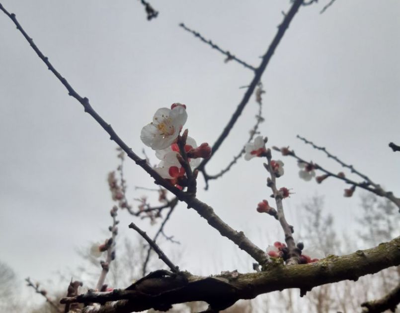 20230401_164241 (2).jpg