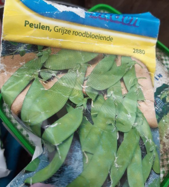 20230401_165800 (2).jpg