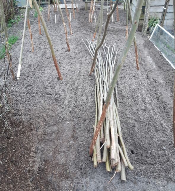 20230401_182500 (2).jpg