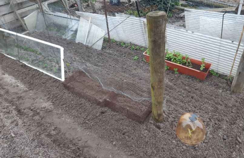 20230401_182511 (2).jpg