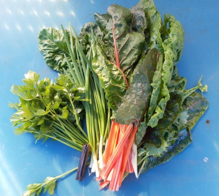 20230402_150058 (2).jpg