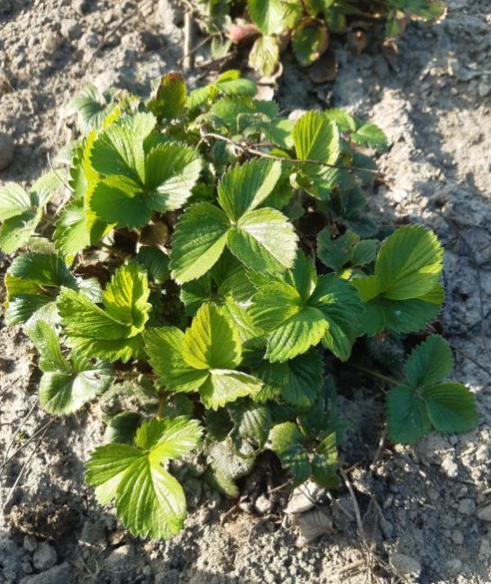 20230405_173737 (2).jpg