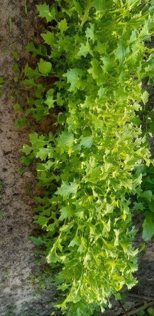 20230405_173923 (2).jpg