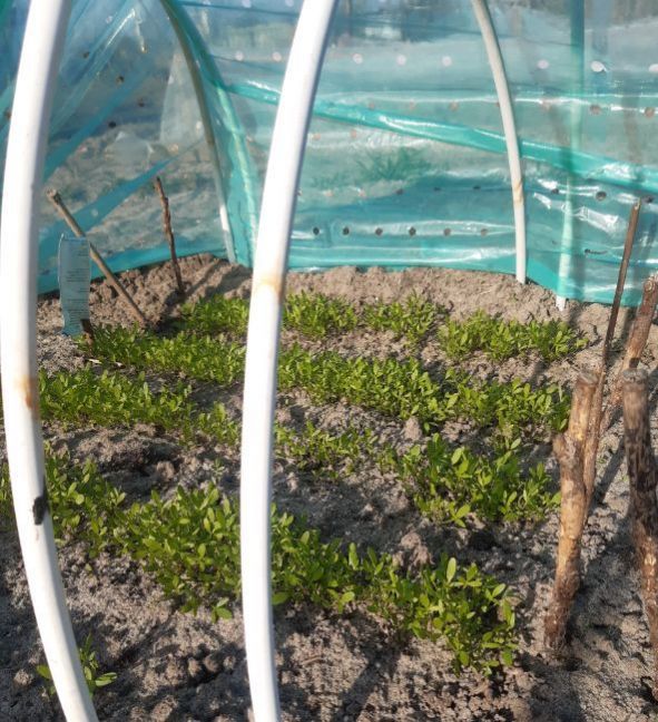 20230405_174012 (2).jpg