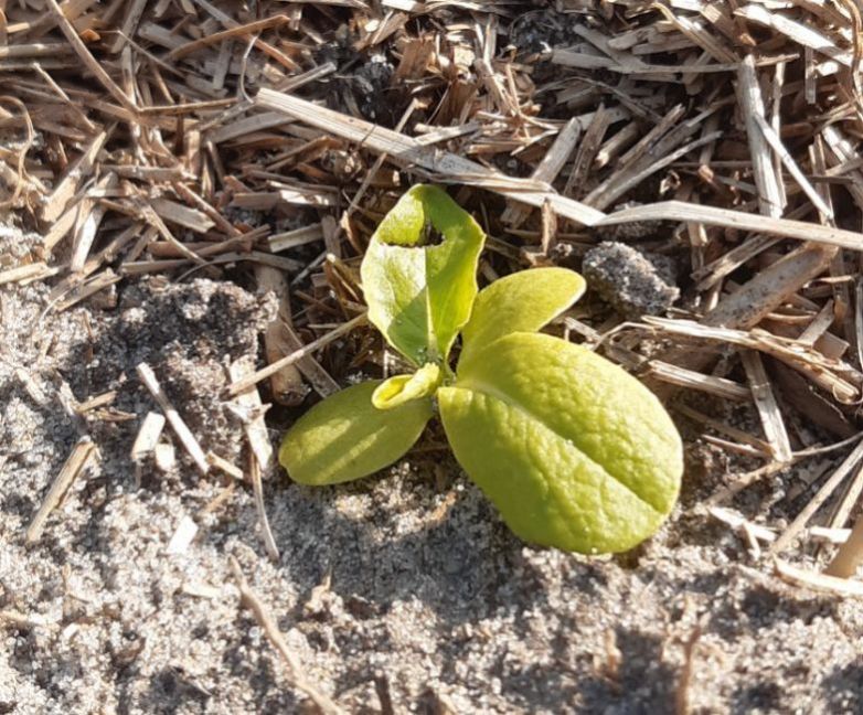 20230405_174053 (2).jpg