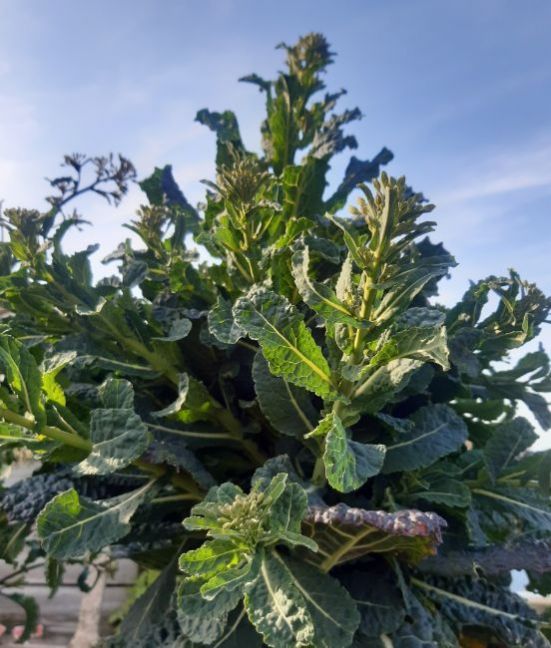 20230405_174401 (2).jpg