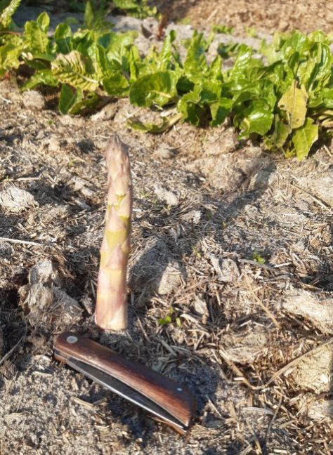 20230405_174423 (2).jpg