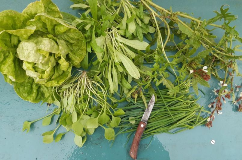 20230406_155734 (2).jpg