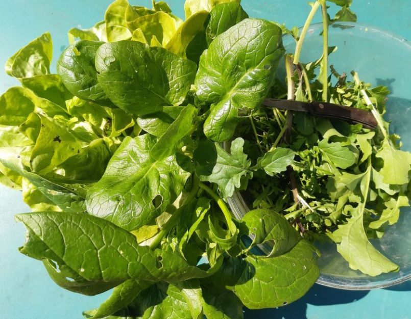 20230425_123503 (2).jpg