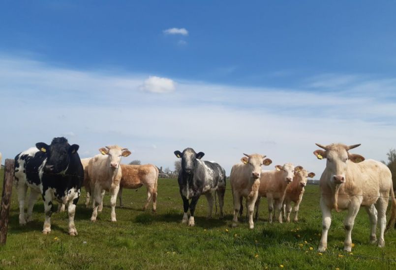 20230427_123243 (2).jpg