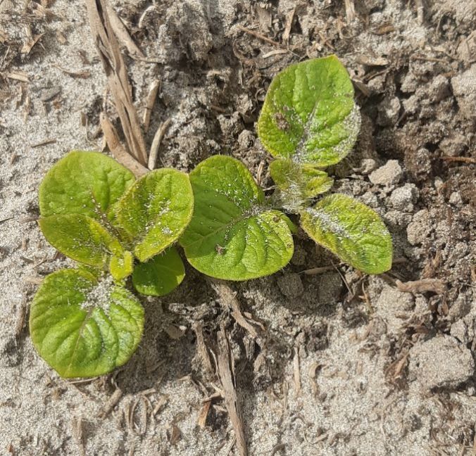 20230427_123756 (2).jpg