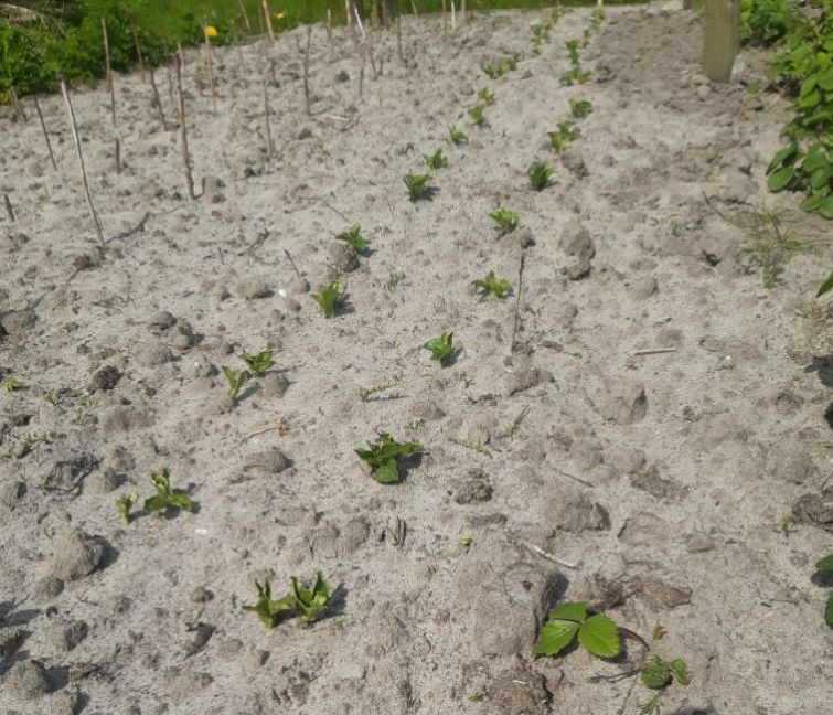 20230427_125153 (2).jpg