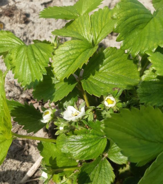 20230427_125208 (2).jpg