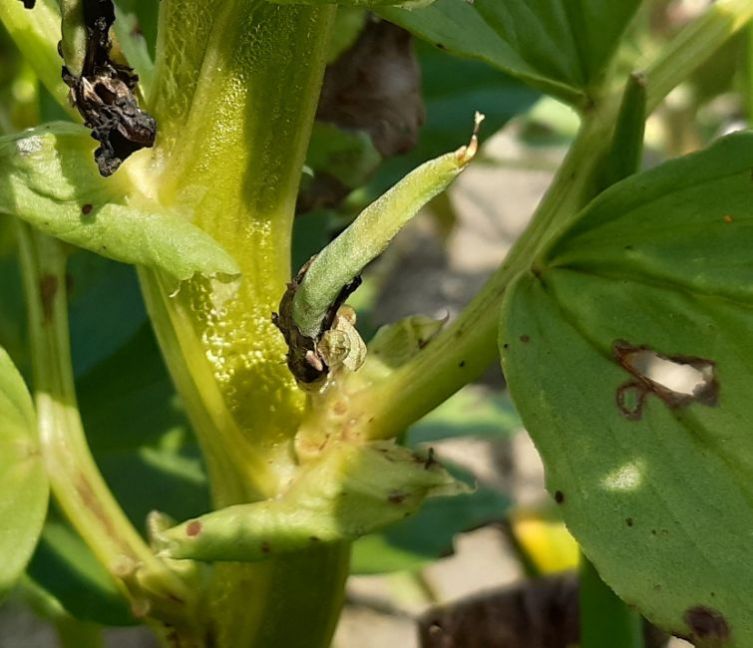 20230427_125412 (2).jpg